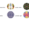 CAD-CUT-Farbauswahl_Stahls-Europe_Pattern_05-21
