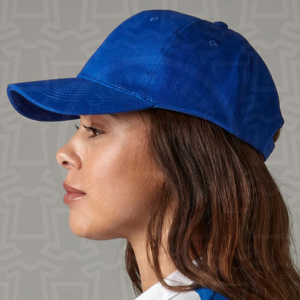 Pro-Style Heavy Brushed Cotton Cap 312.69
